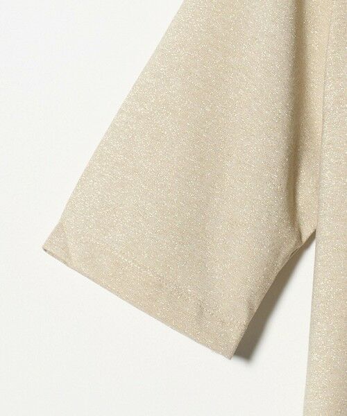 green label relaxing / グリーンレーベル リラクシング カットソー | テンジク ラメ TEE | 詳細23