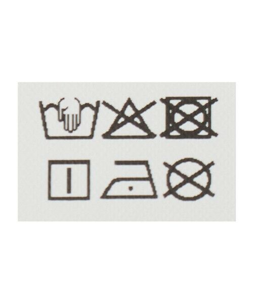 green label relaxing / グリーンレーベル リラクシング カットソー | シアー ロゴ ショートスリーブ Tシャツ | 詳細30