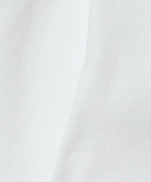 green label relaxing / グリーンレーベル リラクシング カットソー | ＜at ease＞フロント フォト ショートスリーブ Ｔシャツ | 詳細10