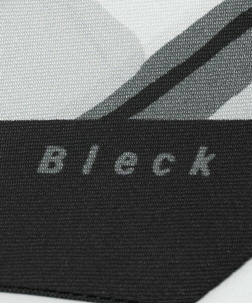 green label relaxing / グリーンレーベル リラクシング バンダナ・スカーフ | ＜Bleck＞スカーフ | 詳細2
