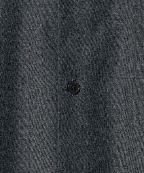 green label relaxing / グリーンレーベル リラクシング シャツ・ブラウス | 【WEB限定】ピーチツイル ジャストルーズ シャツ -防シワ- | 詳細8