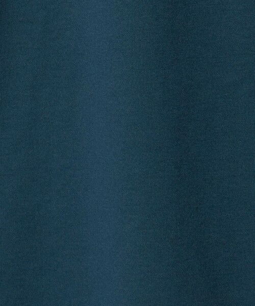 green label relaxing / グリーンレーベル リラクシング カットソー | 【WEB限定】デイリールーズ Tシャツ -吸水速乾・抗菌- | 詳細17