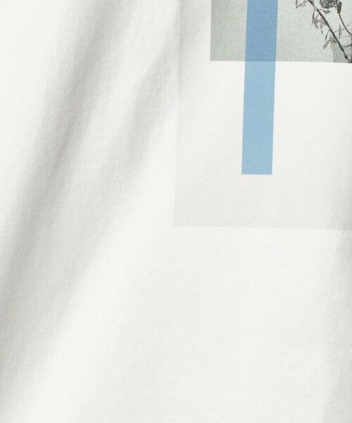 green label relaxing / グリーンレーベル リラクシング カットソー | ＜Phospho Graphica＞グラフィック ロングスリーブ Tシャツ | 詳細6