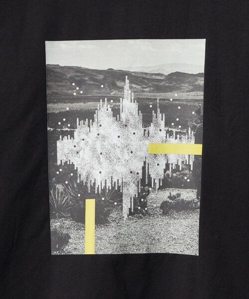 green label relaxing / グリーンレーベル リラクシング カットソー | ＜Phospho Graphica＞グラフィック ロングスリーブ Tシャツ | 詳細12