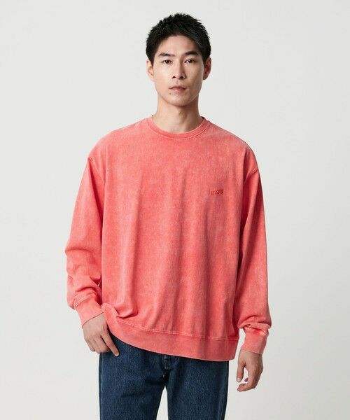 green label relaxing / グリーンレーベル リラクシング カットソー | 【別注】<SCREEN STARS>GLR フェード クルーネック ロングスリーブ Tシャツ | 詳細24