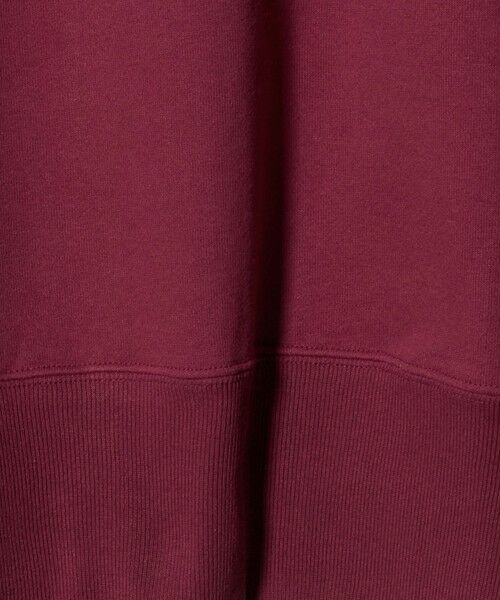 green label relaxing / グリーンレーベル リラクシング スウェット | <GOAT>13オンス クルーネック スウェット | 詳細20