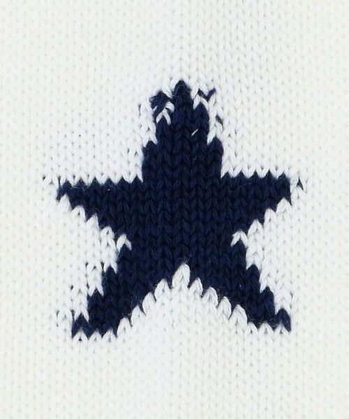 green label relaxing / グリーンレーベル リラクシング ソックス | 【別注】＜ROSTER SOX＞GLR 1STAR ソックス | 詳細2