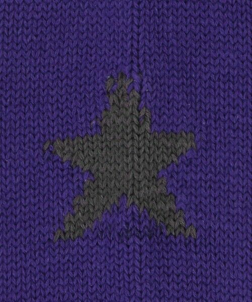 green label relaxing / グリーンレーベル リラクシング ソックス | 【別注】＜ROSTER SOX＞GLR 1STAR ソックス | 詳細18