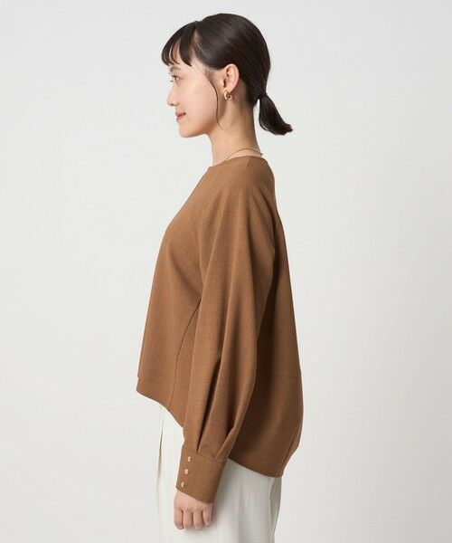 green label relaxing / グリーンレーベル リラクシング シャツ・ブラウス | ソフトジョーゼット プルオーバー -マシンウォッシャブル・ストレッチ- | 詳細11