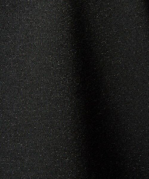 green label relaxing / グリーンレーベル リラクシング カットソー | テンジク ラメ   ロングスリーブ カットソー | 詳細4