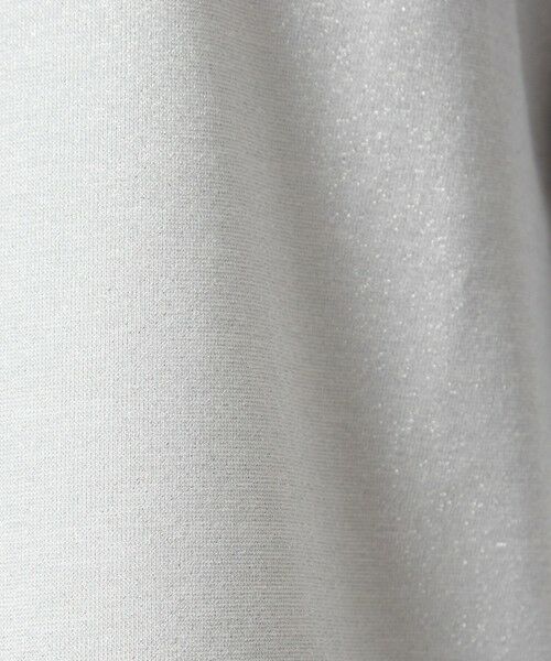 green label relaxing / グリーンレーベル リラクシング カットソー | テンジク ラメ   ロングスリーブ カットソー | 詳細19