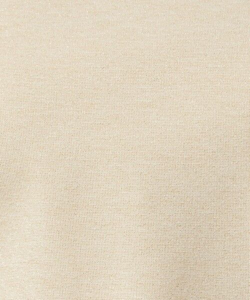 green label relaxing / グリーンレーベル リラクシング カットソー | テンジク ラメ   ロングスリーブ カットソー | 詳細24