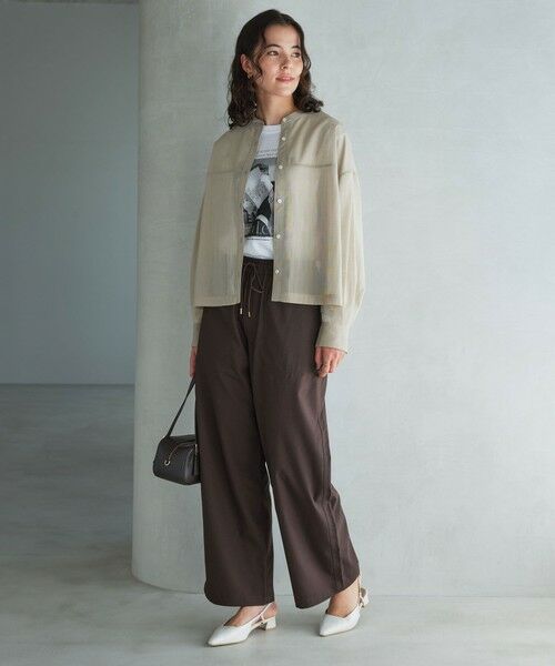 green label relaxing / グリーンレーベル リラクシング シャツ・ブラウス | ソモウライク シアー バンドカラー シャツ | 詳細12