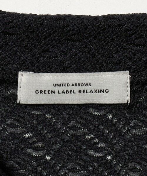 green label relaxing / グリーンレーベル リラクシング カットソー | レース ポロプルオーバー | 詳細19