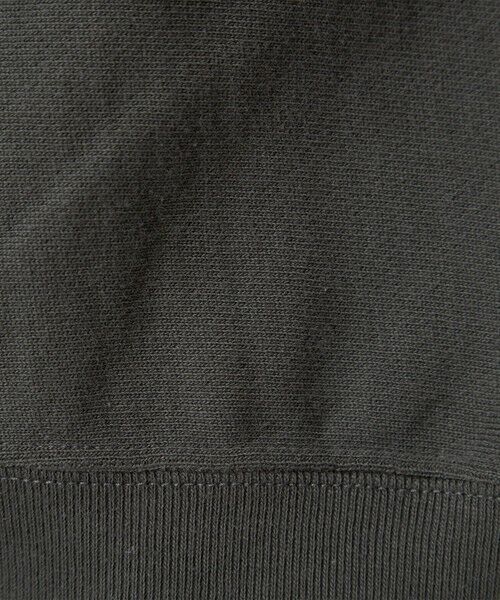 green label relaxing / グリーンレーベル リラクシング スウェット | 【別注】＜Champion＞リバースウィーブ スウェット プルオーバー | 詳細5