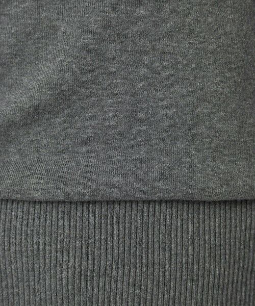 green label relaxing / グリーンレーベル リラクシング カットソー | ＜gicipi＞FRAGORA ロングスリーブ Tシャツ | 詳細10