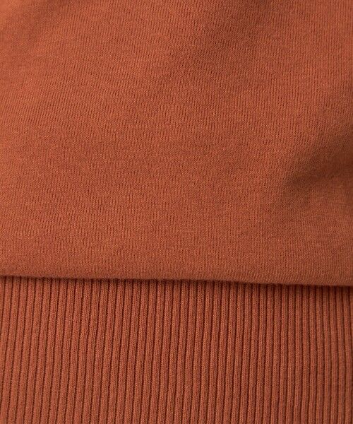 green label relaxing / グリーンレーベル リラクシング カットソー | ＜gicipi＞FRAGORA ロングスリーブ Tシャツ | 詳細14