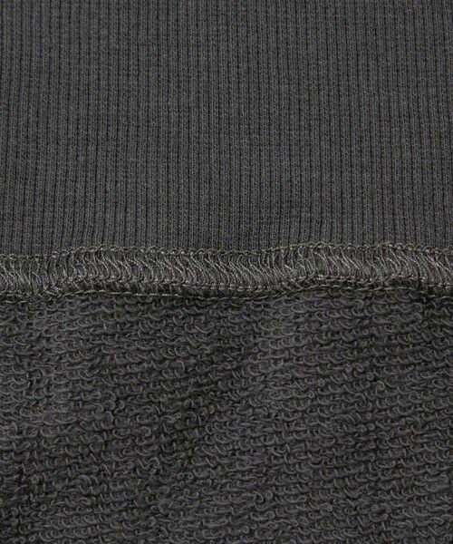 green label relaxing / グリーンレーベル リラクシング スウェット | ミュージアム ロゴ ハーフジップ プルオーバー | 詳細11