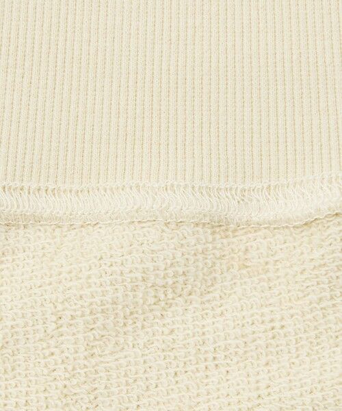 green label relaxing / グリーンレーベル リラクシング スウェット | ミュージアム ロゴ ハーフジップ プルオーバー | 詳細24