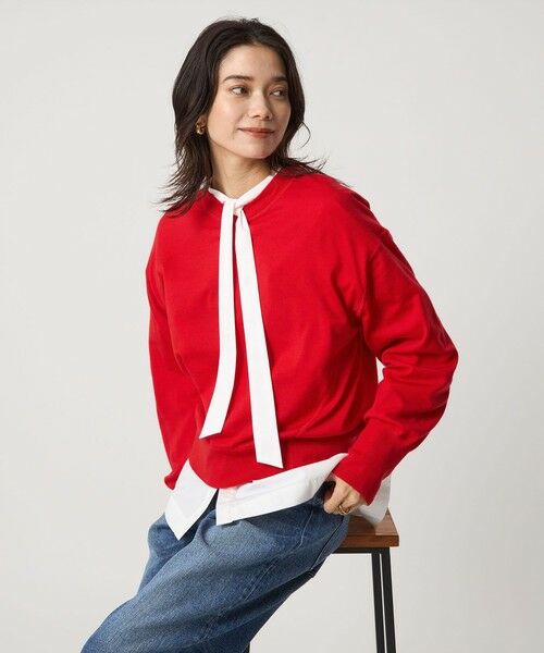 green label relaxing / グリーンレーベル リラクシング ニット・セーター | エブリニット クルーネック ウォッシャブル | 詳細25