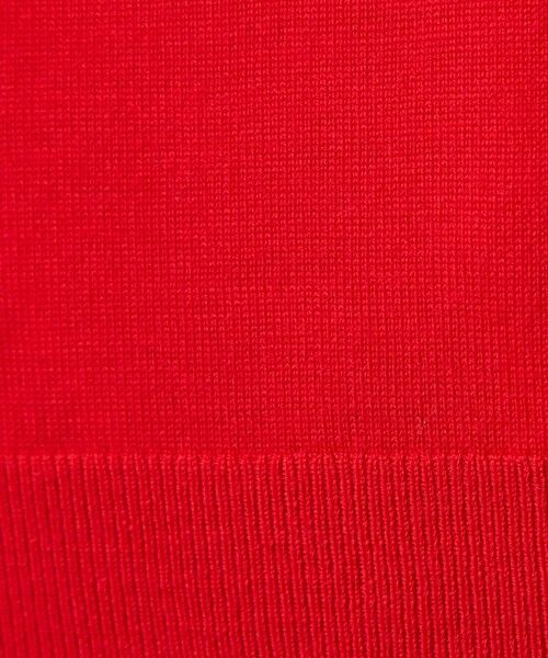 green label relaxing / グリーンレーベル リラクシング ニット・セーター | エブリニット クルーネック ウォッシャブル | 詳細28