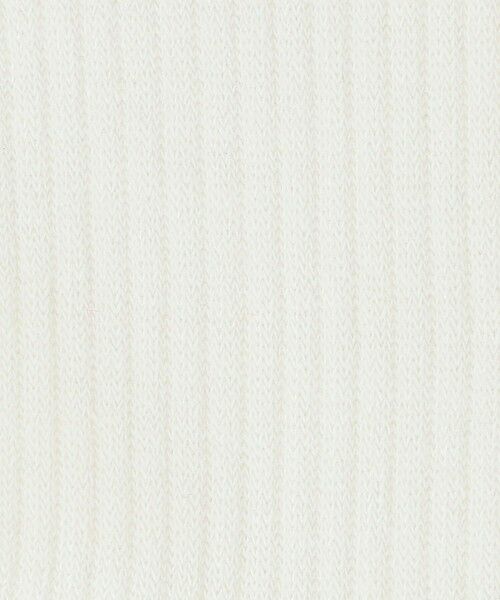 green label relaxing / グリーンレーベル リラクシング ソックス | ＜NIKE＞エブリディ クルーソックス / 靴下 | 詳細2