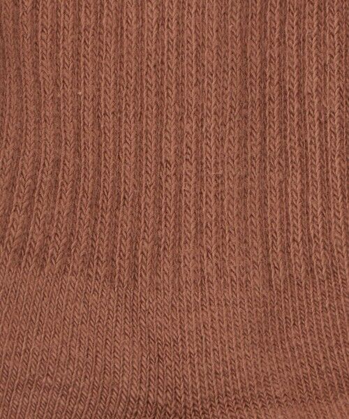 green label relaxing / グリーンレーベル リラクシング ソックス | ＜NIKE＞エブリデイ プラス クッションド ソックス / 靴下 | 詳細2