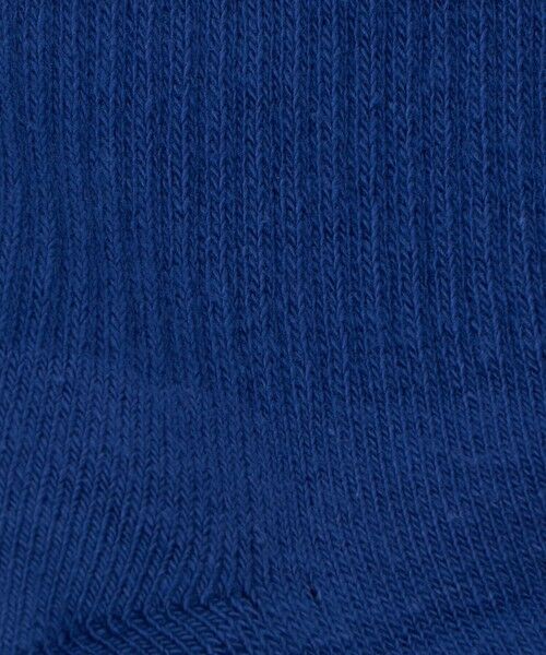 green label relaxing / グリーンレーベル リラクシング ソックス | ＜NIKE＞エブリデイ プラス クッションド ソックス / 靴下 | 詳細17