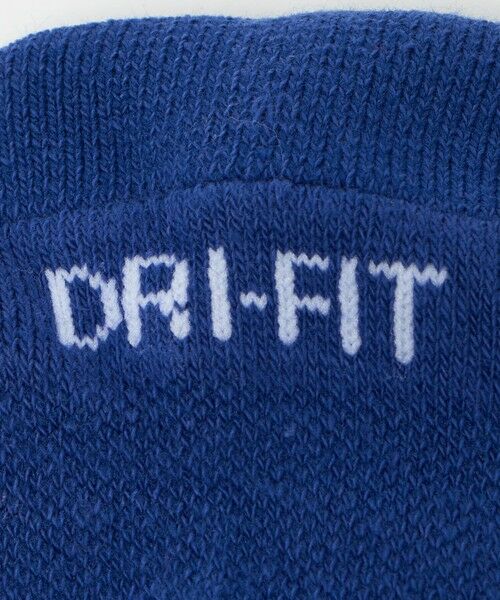 green label relaxing / グリーンレーベル リラクシング ソックス | ＜NIKE＞エブリデイ プラス クッションド ソックス / 靴下 | 詳細19