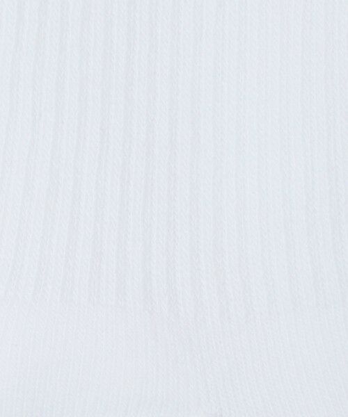 green label relaxing / グリーンレーベル リラクシング ソックス | ＜NIKE＞エブリデイ プラス クッションド ソックス / 靴下 | 詳細21