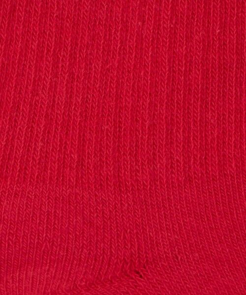 green label relaxing / グリーンレーベル リラクシング ソックス | ＜NIKE＞エブリデイ プラス クッションド ソックス / 靴下 | 詳細25