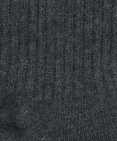 green label relaxing / グリーンレーベル リラクシング ソックス | ＜THE NORTH FACE＞ロゴ 2P クルーソックス / 靴下 | 詳細5