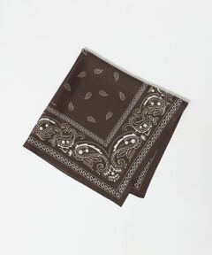 green label relaxing / グリーンレーベル リラクシング マフラー・ショール・スヌード・ストール | ＜Feuille de Cocoon＞スカーフ