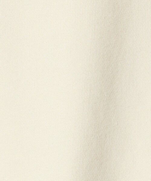 green label relaxing / グリーンレーベル リラクシング スウェット | ＜Champion＞クルーネック スウェット / トレーナー / キッズ  110cm-130cm | 詳細9