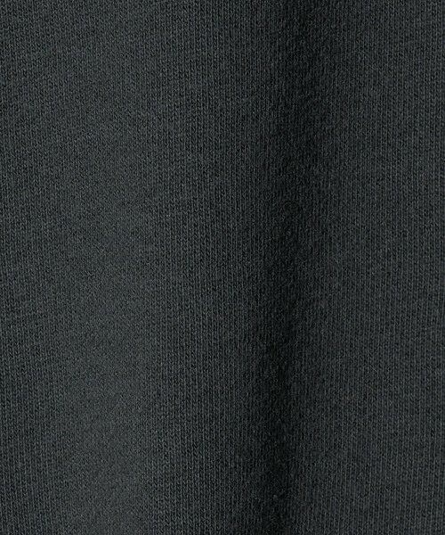 green label relaxing / グリーンレーベル リラクシング スウェット | ＜Champion＞クルーネック スウェット / トレーナー / キッズ  110cm-130cm | 詳細13