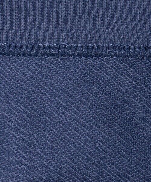 green label relaxing / グリーンレーベル リラクシング スウェット | ＜Champion＞クルーネック スウェット / トレーナー / キッズ  110cm-130cm | 詳細20