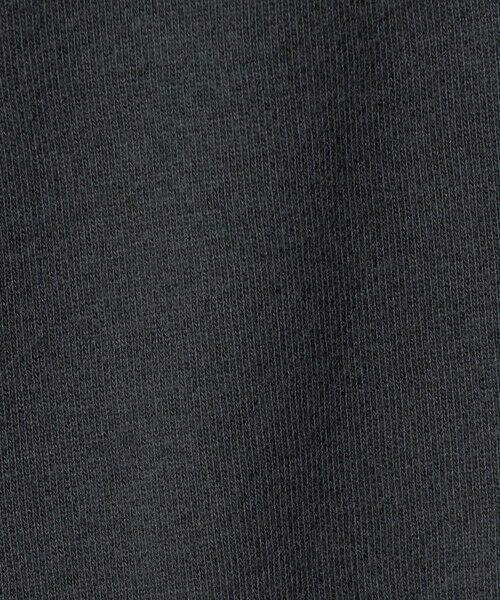 green label relaxing / グリーンレーベル リラクシング スウェット | ＜Champion＞クルーネック スウェット / トレーナー / キッズ  140cm-160cm | 詳細8