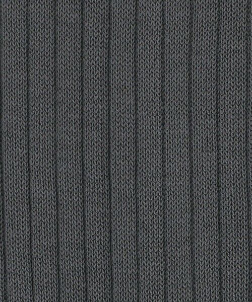 green label relaxing / グリーンレーベル リラクシング ソックス | 【別注】＜ADRIAN＞GLR リブ ソックス | 詳細1