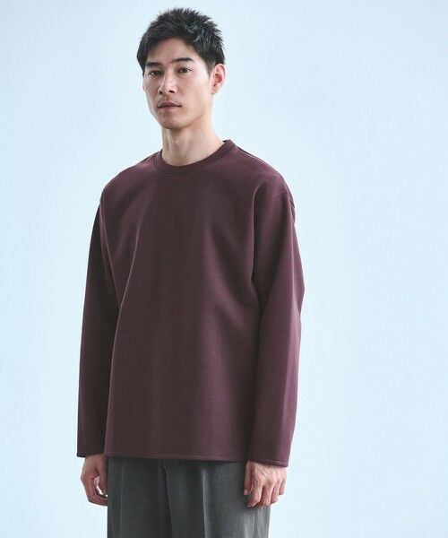 green label relaxing / グリーンレーベル リラクシング カットソー | ダブルフェイス クルーネック カットソー(WINE)