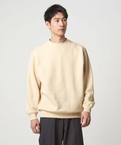 green label relaxing / グリーンレーベル リラクシング スウェット | 【WEB限定】デイリー ベーシック スウェット クルーネック プルオーバー