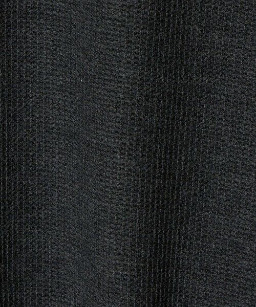 green label relaxing / グリーンレーベル リラクシング ポロシャツ | ワッフル 長袖 ポロシャツ カットソー | 詳細12