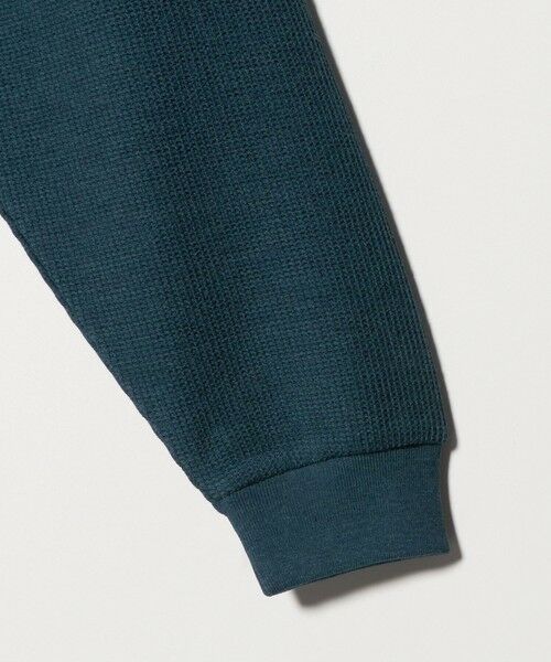 green label relaxing / グリーンレーベル リラクシング ポロシャツ | ワッフル 長袖 ポロシャツ カットソー | 詳細20