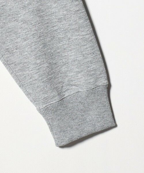 green label relaxing / グリーンレーベル リラクシング パーカー | ＜THE NORTH FACE＞スモール ロゴ スウェット フーディ | 詳細13