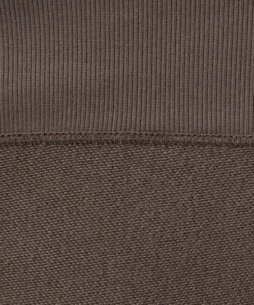 green label relaxing / グリーンレーベル リラクシング スウェット | 【別注】＜Champion＞クルーネック 長袖 スウェット | 詳細17