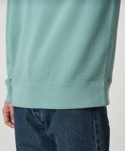green label relaxing / グリーンレーベル リラクシング スウェット | 【別注】＜Champion＞クルーネック 長袖 スウェット | 詳細25
