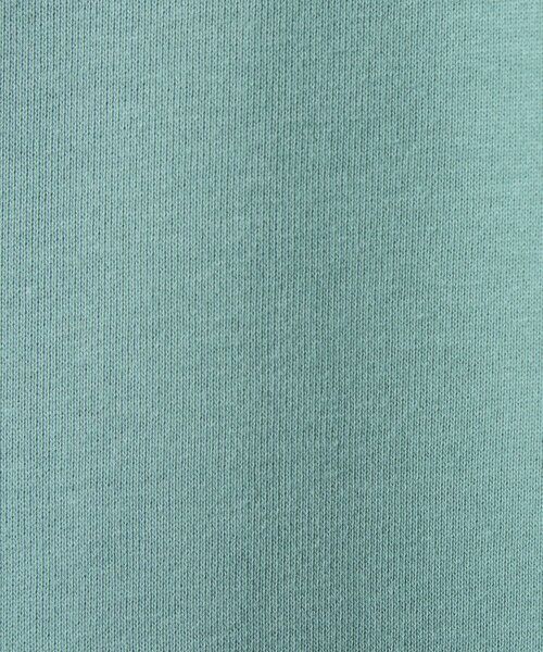 green label relaxing / グリーンレーベル リラクシング スウェット | 【別注】＜Champion＞クルーネック 長袖 スウェット | 詳細27