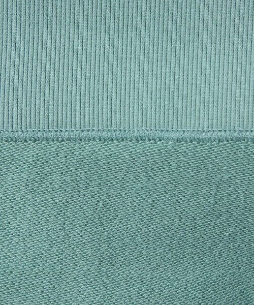 green label relaxing / グリーンレーベル リラクシング スウェット | 【別注】＜Champion＞クルーネック 長袖 スウェット | 詳細28