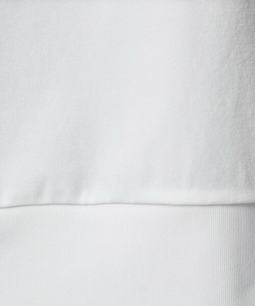 green label relaxing / グリーンレーベル リラクシング カットソー | 【別注】＜DAIWA＞合撚 ロングスリーブ 長袖 Tシャツ | 詳細2