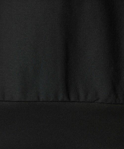 green label relaxing / グリーンレーベル リラクシング カットソー | 【別注】＜DAIWA＞合撚 ロングスリーブ 長袖 Tシャツ | 詳細7