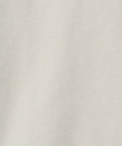 green label relaxing / グリーンレーベル リラクシング Tシャツ | ＜OAFISH＞OLD IS NEW 長袖 Tシャツ | 詳細10